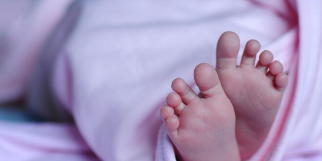 Grávida tira seu bebê da sua barriga com as próprias mãos Grávida tira seu bebê da sua barriga com as próprias mãos
