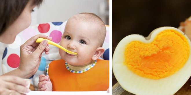 bebe comer ovo bebe comer ovo
