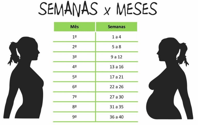 calculo idade gestacional