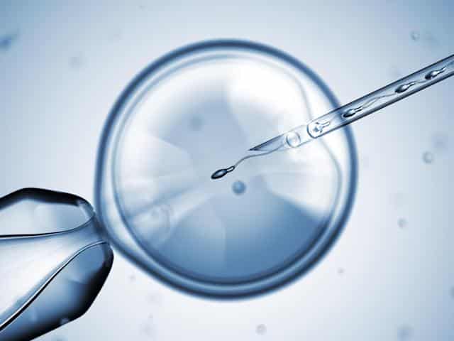 fertilizacoes in vitro como e feito esse metodo indicacoes e contraindicacoes