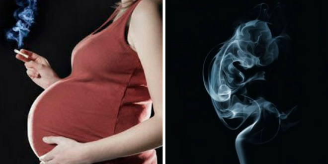 gravida fumar