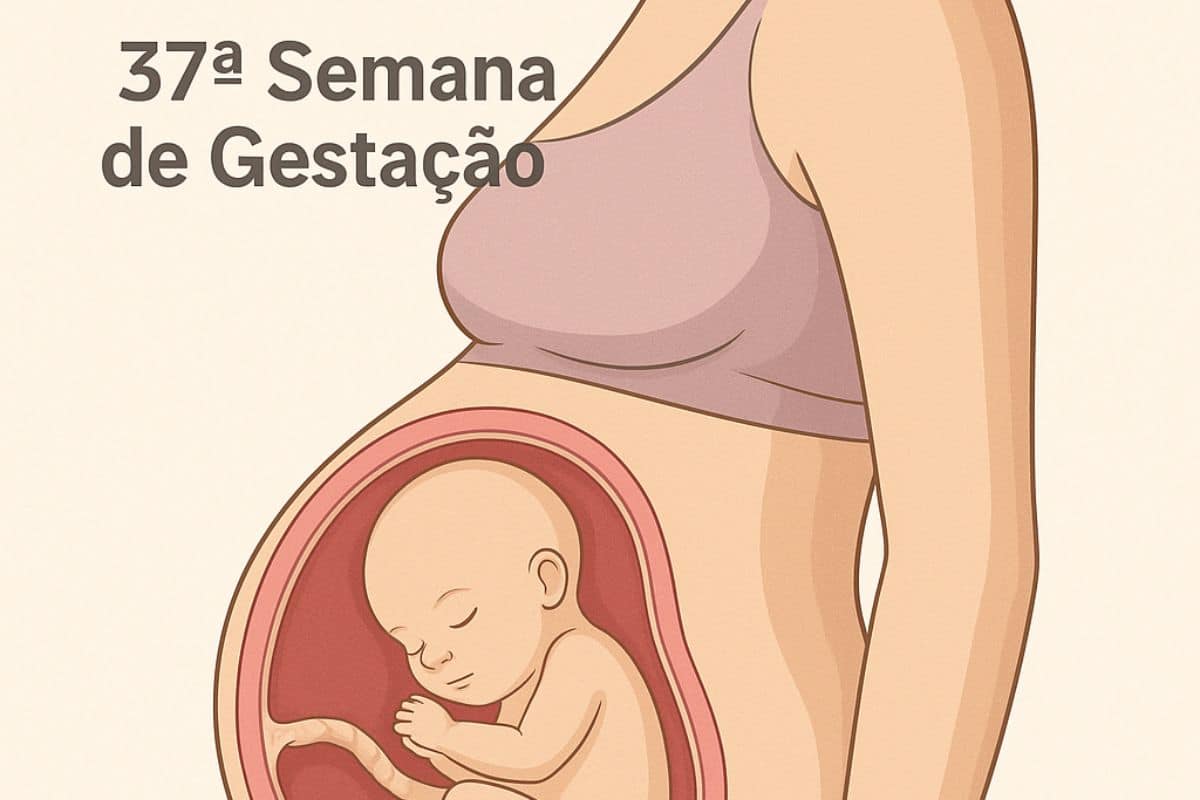 gravidez passo a passo 37a semana de gestacao