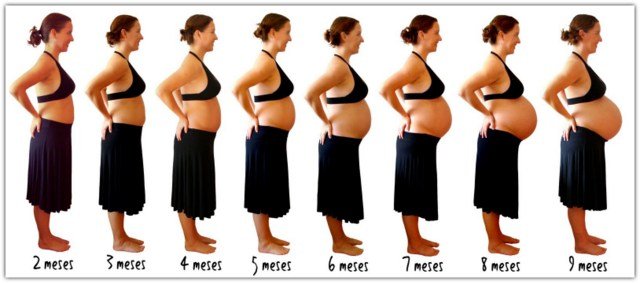 ideias registar crescimento barriga gravida 8