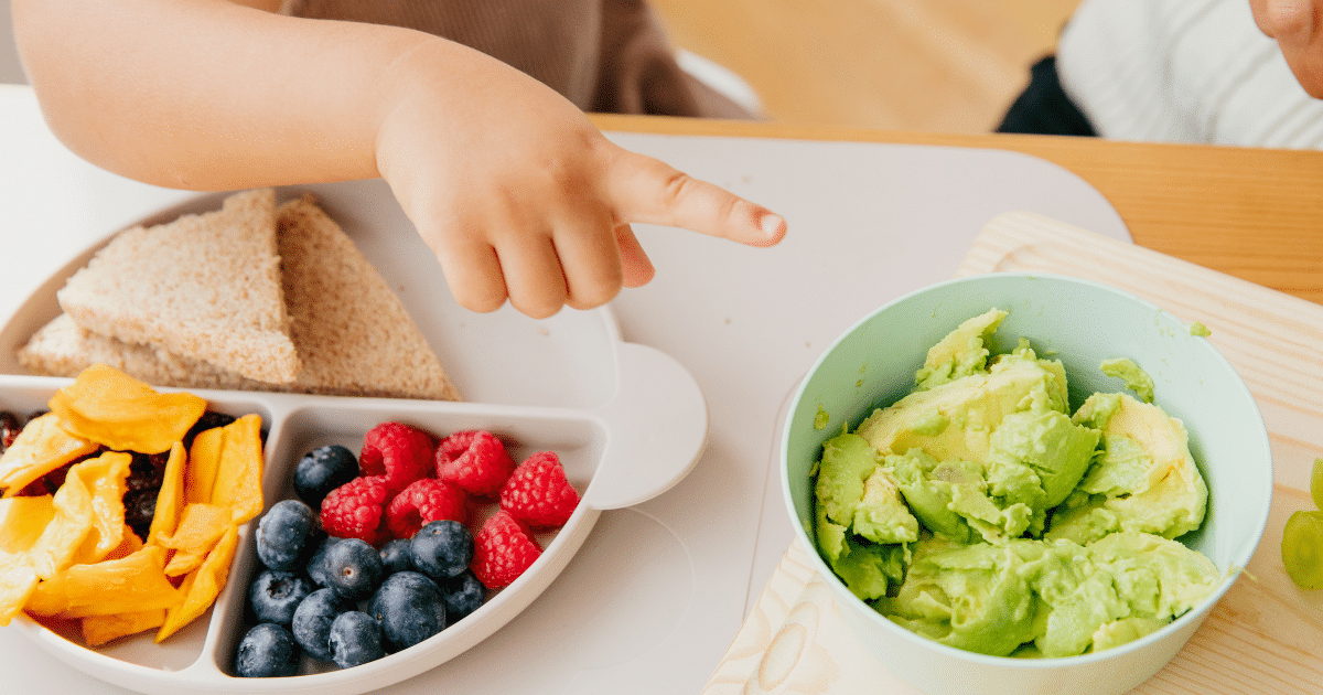 metodos de introducao alimentar bebe