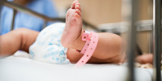 onde ter o bebe 1 onde ter o bebe 1